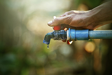 8 tips on saving water